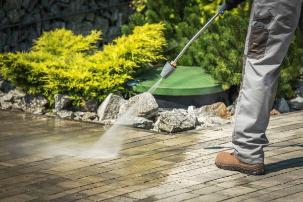 Best Solar Panel Cleaning  in Kaser, NY
